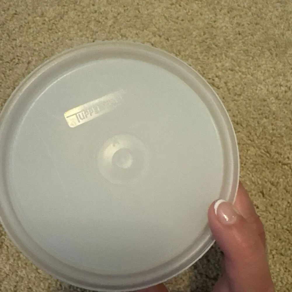 Tupperware Hamburger Burger Patty 4